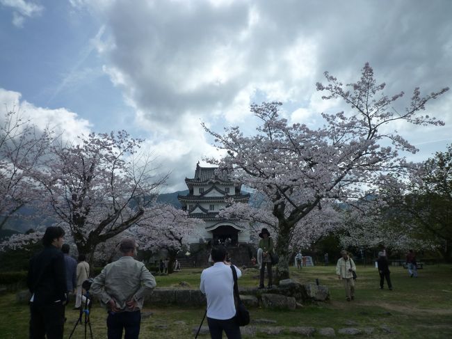 海外旅行が好きですが、日本の事も知っていないとね。<br />桜の時期にお城めぐりです。<br />歩けるかなあ・・・。