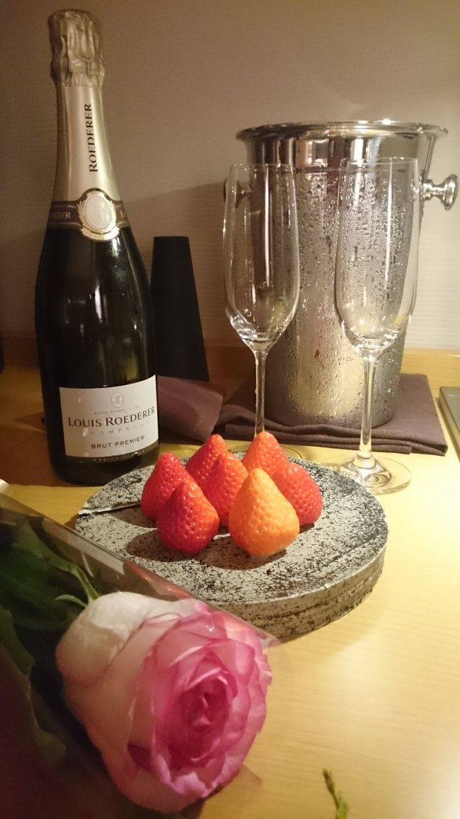 桜を巡る奈良、京都旅。<br />JR東海ツアーズの新幹線+ホテルにて、ハイアット・リージェンシー京都を選択しました。いつも車窓から、竹林が気になっていたラグジュアリーホテル。バースディだったので、ホテルからのおもてなしが素直に嬉しいと感じた素敵なホテルライフでした。