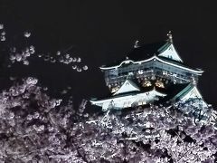 大坂城 西の丸庭園　観桜ナイター