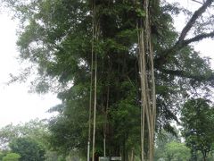 楽しかったインドネシアの旅　２　ジョグジャカルタ編