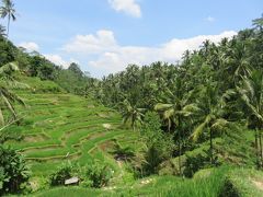 楽しかったインドネシアの旅　３　バリ島編