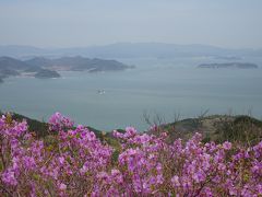 巨済島　テグムサンのツツジを見に行こう～失敗編