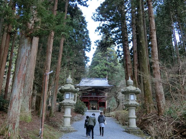 青春18きっぷで日帰り旅。茨城のパワースポット、御岩神社へ行ってきました。<br />御岩山ハイキングは往復でも1時間半くらいで初心者向け。境内には水芭蕉が咲いていました。