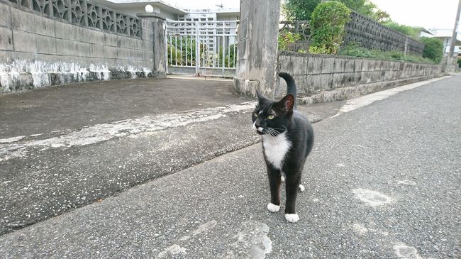 毎年恒例の八重山列島から、今年は念願の宮古島へ。<br /><br />アヤちゃん、いつもありがとう！<br />