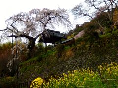 八幡・城陽の旅行記