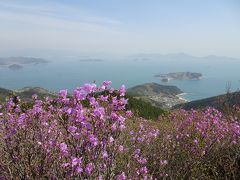 巨済島　テグムサンのツツジを見に行く～成功編