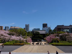 増上寺でこんなに美しい桜を見られるとは　上