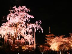 青春１８きっぷで東京⇒松山　春の一人旅　<前編　京都で夜桜>