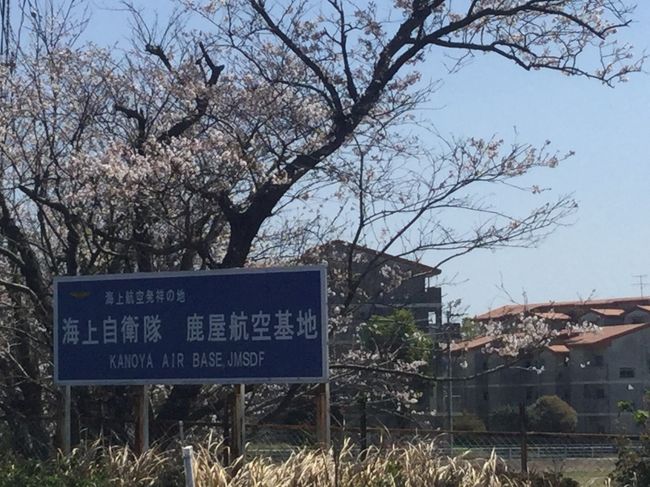 海上自衛隊鹿屋航空基地の史料館付近の桜が満開になってきたので飛行機展示してあるところを回って見ます。<br />展示広場は柵がしてあるので近くまでは入れないです。それ以外は自由に行き来できるので思う存分できるかと思います。多分ここではシートを引いて花見気分はできないかと思います。<br /><br />ちょっと写真の枚数が少ないですが適当に見てくださいね！