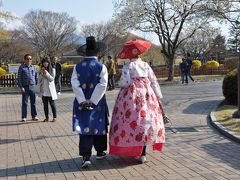 春彩！！ 韓国桜めぐり ・ 後編 ＜ 慶 州 ＞