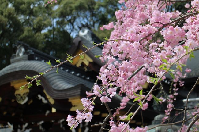今年の桜は天候に恵まれずストレスがたまる？毎日・・・<br />例年、桜目当てに京都を訪問していたが、今回は少し趣向を変えて・・・<br /><br />風景印のある郵便局巡りに御朱印、それに桜の撮影スポットがある嵐電。<br />各所で大勢の外国人に遭遇し、そのパワーに圧倒された・・・<br /><br />いろいろな楽しみ方がある京都を徘徊した一日。<br />