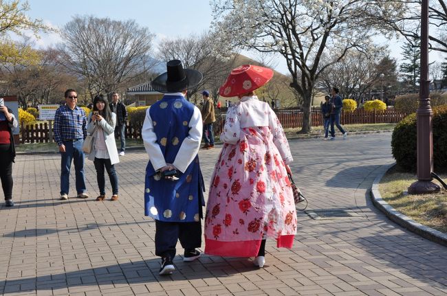 海雲台３連泊の「韓国桜めぐり」の後編です。<br /><br />今日は慶州に行きますが、釜山が桜満開と言うことは・・・<br /><br />釜山から慶州までは約１００ｋｍあるので東京と群馬の違いと同じ<br /><br />桜は無理ですねーと言うことで、普通に観光してきました。<br /><br />世界遺産の「仏国寺」・「慶州歴史地区・古墳公園」や<br /><br />「普門湖」・「酌川亭の桜トンネル」を観光して<br /><br />最終日は、釜山発１４：３５のエアーで成田へ