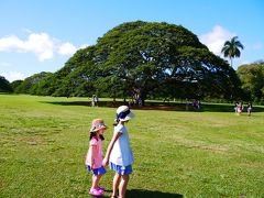 9歳5歳子連れ＆3世代旅行～HAWAII～機内と1日目