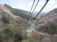 吉野桜　日帰り　