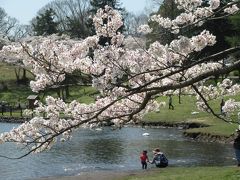 桜と光に包まれた志高湖(大分県別府)