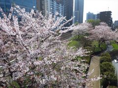 一時帰国★埼玉★リリアパーク（川口西公園）でちょこっとお花見