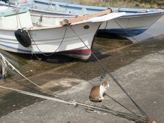 猫の島？真鍋島にいってきた