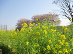 高台の 清水ヶ丘公園へ　