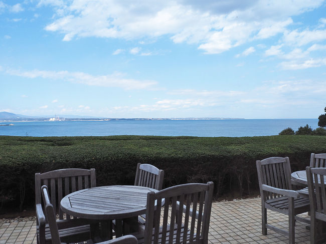 新聞を見ていたら、茨城県天心記念五浦美術館で、「興福寺の寺宝と畠中光享展」を見つけ、遠かったのですが、1日がかりで行ってきました。現在、奈良・興福寺の中金堂が300年振りに再建されているので、来年秋の落慶です。その中金堂の内陣に「法相柱」という柱があり、興福寺の教義である法相の祖師らが描かれていたと多くの史料に書かれていたそうです。日本画家・畠中光享が祖師画を制作して、平成の法相柱を再興しています。今、その柱絵が完成し、奉納に先立って、ここ五浦美術館で14枚の柱絵を初公開されました。この他、畠中氏の代表作、新作20点も展示されました。実際に柱絵を間近で見ることができるのは、こういう機会しかないということです。屏風絵も素晴らしく、ゆったりと鑑賞することができました。都内だと、静寂の中で美術を鑑賞することは難しいのですが、ここでは太平洋を眺めながら、静かに鑑賞することができて、本当に素晴らしい1日でした。