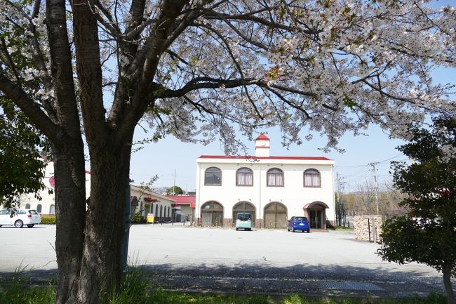 山梨県勝沼と笛吹へワインを求めて出かけてみた。ワインはそれほど飲むわけではないが、時折友人と飲んだりすることがあるくらいである。<br /><br />最近では甲州ワインは欧米で高い評価を受け、その名が知られるようになった。特に和食に合うワインとして好まれるようになった。そこで、そうしたワインを味わってみたいと思い出かけてみた。<br /><br />甲州ワインは日本ワインの先進地で、ブドウ栽培から醸造まですべての工程を手掛けている。ブドウは中央アジア原産だが、甲州との関わりは深い。奈良時代に名僧・行基（ぎょうぎ）が伝えたとか、鎌倉時代に農民が道端で山ぶブドウを見つけたというような伝説があるが、甲州市の大善寺の本尊である薬師如来像（平安時代初期作）は手のひらにブドウをのせている。ただ、これは後世の作のようであるが、この地との関わりを知るうえで興味深い。そして、江戸時代の百科事典『和漢三才図会』では、ブドウが甲州勝沼の特産品となっている。<br /><br />その理由は、ブドウと土地の相性の良さである。水はけのよい土壌、昼夜の温度差、日照時間が長くて少雨である等の条件がすべて備わっている。その上、勝沼には「甲州」と名付けられた在来種ブドウが古くからあった。<br /><br />紫紅色の粒の形がよく、白い果扮を吹き、酸味、甘味、ミネラル分の調和がとれて、食べてもワインにしても美味しい品種である。最新研究によると、ヨーロッパ系のDNAを持ち、シルクロード経由で中国の在来種と交配を繰り返し、勝沼に至ったそうだ。また、OIV（ワインの国際的審査機関）の認証を取ったおかげで、ラベルに「甲州」と銘打ったワインはEUへの輸出も可能になった。名前は実にローカルだが、実力はグーロバルなのである。<br /><br />今回３カ所のワイナリーを巡ってみた。いずれもそんな大きなところではないが、独自のワインを製造していて、見学し、試飲させてもらい、勧められてつい何本も購入してしまった。<br /><br />今回、訪ねたワイナリーは次の3カ所である。<br /><br />　１．盛田甲州ワイナリ― (シャモリー・ワイン）（ 勝沼市勝沼 2842 ）<br />　　  HP：http://www.chanmoris.co.jp/<br /><br />　２．ロリアンワイン白百合醸造 ( 勝沼市等々力 878-2 ）<br />　　  HP：http://www.shirayuriwine.com/<br />　<br />　３．ルミエール・ワイナリ― ( 笛吹市一宮町南野呂 624 ）<br />　　HP: http://www.lumiere.jp/<br />      <br /> <br />いずれも小規模なワイナリーで、普通のワイン店では販売されていないようなワインを味わうことが出来る。