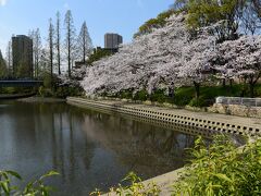 2017　大川のさくら散歩