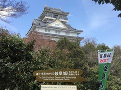 一度見てみたかった日本３大桜のひとつ　根尾の薄墨桜 初日