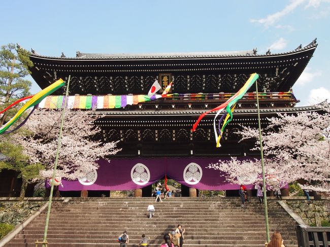 京都に桜を見に行きました！<br /><br />今年は咲き始めから土日は曇りや雨とイマイチな天気。この週末も天気が崩れそうだなぁと思っていたら休日出勤の振替休日を晴れの平日にゲット！去年は曇りの中の桜観光でしたが今年は青空の写真が撮れそうです(^^)<br /><br /><br />　上賀茂神社<br />　妙満寺<br />＊八坂神社<br />＊円山公園<br />＊知恩院<br />＊平安神宮<br /><br />◆春の京都2017　一人旅　その１　～上賀茂神社、妙満寺～<br />https://4travel.jp/travelogue/11232398<br /><br /><br />過去の春の京都<br />◆春の京都2016　一人旅　醍醐寺、本満寺、京都御苑、安井金比羅宮<br />https://4travel.jp/travelogue/11170483<br /><br />◆春の京都2014　一人旅　　平野神社、千本釈迦堂、水火天満宮<br />https://4travel.jp/travelogue/11110420