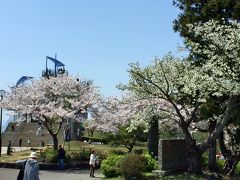 湘南平でのお花見とハイキング