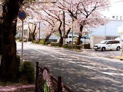 2017春☆藤が丘☆桜並木の街歩きとカフェとパンとケーキ