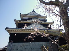 松山で桜と温泉と海