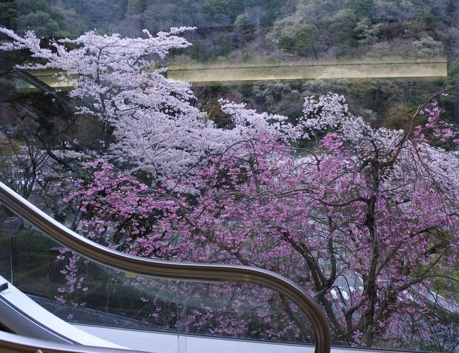 久しぶりの湯本富士屋ホテル。デジカメ片手に館内をウロウロ。