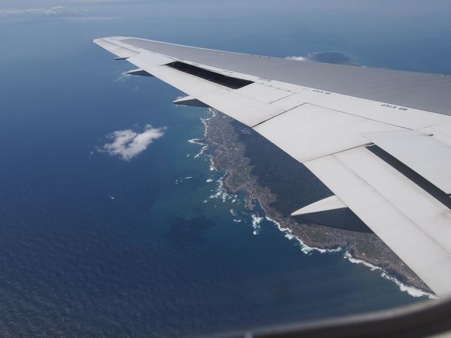 闘病中の夫と離れて暮らす母に振り回され気ままな旅とはすっかり無縁になり消耗したちいちゃん。最近の口癖は「いろいろなことが片付いてから…」です。やばいぞ私。こんなんじゃ周りの人にやさしくなんて心の余裕はとてもとても。<br /><br />今日は母の用で千葉に向かいます。<br />新幹線に乗るつもりで駅に向かっていたんだけど、いつも同じルートで行くのもつまらないし空路で向かえばちょっとした一人旅気分。よし、JAL当日シルバー割引が私を待っているぞと空港へ。二泊三日がいまの私にとって一人になれる最大の持ち時間。<br /><br />東京まで直行便はないので、大阪国際空港伊丹に飛んで羽田にと片仮名の「レ」の字を書く様なフライトです。<br />