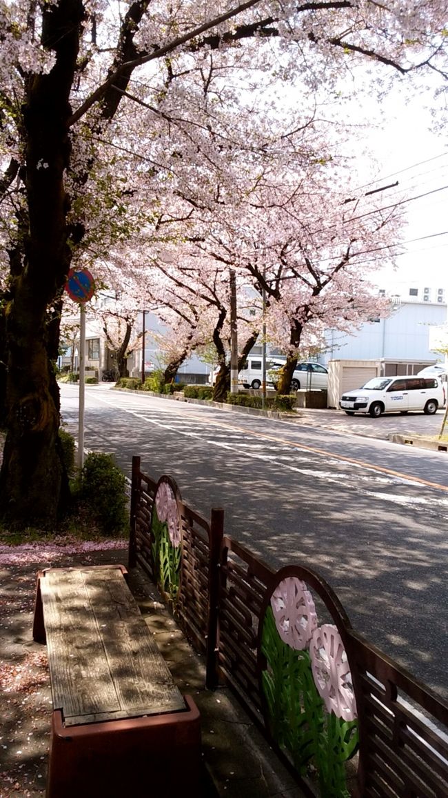 満開を過ぎだ散り始めの桜を見上げて歩きながら藤ヶ丘のカフェとパン屋さんとケーキ屋さんを巡った記録。