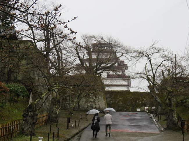福島県の桜名所巡りのツアーに東京から参加した。4月11,12日の二日間だったが、今年は寒い日が多く、開花がどこも遅れた。特に11日は寒い上に雨が降り、しかもどこもつぼみ状態の桜ばかりで、がっかりしていたが、二日目は天気もよくなり、ピークは福島市の花見山でやってきた!<br /><br /><br />既にクチコミでそれぞれの場所を紹介したが、ここでは順を追って、初日の行程の写真をのせる。<br /><br />初日の最初の訪問地が会津若松城(鶴ケ城)。