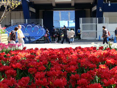 春の横浜公園　愛でる人　写す人　写される花達　「全国都市緑化よこはまフェアー」