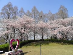 春爛漫　草津市立水生植物公園　みずの森