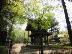 新緑の多福寺を訪問する