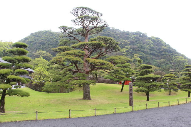 ANAのマイルを利用して、南九州を旅してきました。<br /><br />宮崎空港からレンタカーを借りて、宮崎・鹿児島を回ってきました。<br />宮崎・鹿児島へは、２００９年１１月以来約８年ぶりの訪問です。<br /><br /><br />旅行２日目は、朝７時半過ぎにホテルをスタートし、まずは磯庭園（仙巌園）にむかいました。<br />風は収まったものの、今日も雨模様の天候です。<br /><br />磯庭園（仙巌園）観光のあとは、鹿児島市内の維新ふるさと館を見学した後、知覧の特攻平和会館を見学した後、トカラ馬を見るために誤って開聞ふれあい公園にいってしまい、トカラ馬の見学をあきらめ、宿泊地である休暇村　指宿に４時半に到着しました。<br /><br />