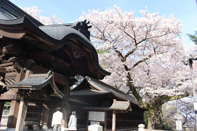 旅の目的である大谷観音で御朱印をいただき、大谷資料館でその幻想的な地下空間を堪能しました。<br /><br />大谷資料館からまた大谷観音の方へ戻りランチをいただきます。<br />このあたり食事をするところが少ないので、<br />バスの1日乗車券のパンフレットもはやめの見学で宇都宮に戻って餃子を食べることを勧めているような内容でした。<br />ランチの後は大谷石でできた松が峰教会と二荒山神社によって本日の旅は終了です。