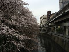 江戸川橋、上野、飯田橋と近場を散策、散り始めた桜を見ながら