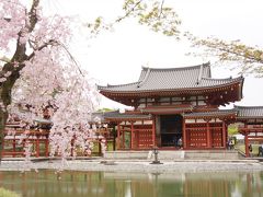 京都宇治観光（平等院鳳凰堂、宇治神社、宇治上神社、源氏物語ミュージアム）