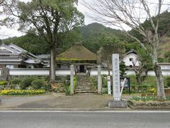 関西最大級・密集群生地・丹波市花”かたくり”を観に行って来ました　～達身寺～