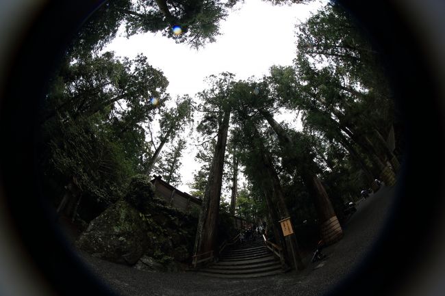 伊勢赤福朔日餅 ４月は桜餅