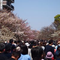 夫婦で久々の大阪1泊2日の旅　恥ずかしいくらいベタな事ばかりしてきました(^_^;)