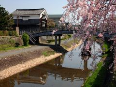 八幡桜風情７～放生川さざなみ公園（安居橋）3