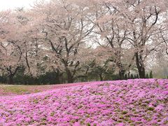 お天気予報士 依田さ～ん　　朝の天気予報中継で中央道から東北道に行き先が変わりました