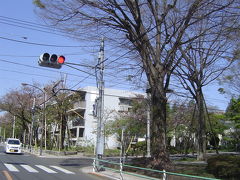 「桜堤訪問」