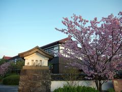 早朝萩市内散歩～桜を探して