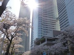 春爛漫の優雅な横浜♪　Ｖｏｌ2　☆横浜ランドマークタワーからマリンウォークへ優雅に歩く♪