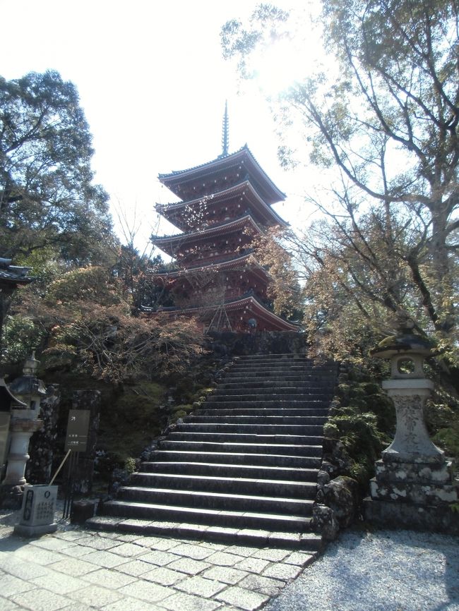 初めて訪れた高知、１日目の午後は、五台山・竹林寺へ。 <br /><br />竹林寺の開創は、小学生の社会科レベルのメジャーな人物にゆかりがある。<br />「在位中の聖武天皇が唐の五台山で文殊菩薩から教えを受ける夢を見た。」<br />「聖武天皇は、行基に 日本国内で唐の五台山に似た霊地を探し、<br />　　伽藍を建立するように命じた。」<br />「これを受けた行基は、この地を選び、<br />　　自ら謹刻した文殊菩薩像を本尊として、開創した。」<br />江戸時代以降は、土佐山内氏との関わりが濃密。<br />高知城は、北の江ノ口川と南の鏡川に挟まれていることから、<br />当初、「河中（こうち）城」と定めたが、南北の河川が度々氾濫したため、<br />「河中」という表記を嫌った二代目藩主の山内忠義が、1610年に<br />新たなネーミングを依頼した相手が、ここ竹林寺の住職であった空鏡上人。<br />（その結果、「河中」は「高智」と改められ、後に簡略化して「高知に」）<br />以後、土佐代々藩主の帰依を受け、藩主祈願寺として寺運は隆盛。<br />堂塔は土佐随一の荘厳を誇り、学侶が雲集し、<br />学山（学問寺）として 土佐の宗教・文化の中心的役割を担った。<br />